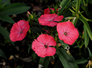 %_tempFileName05-20091213-0459%