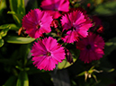 %_tempFileName06-20100111-0478%