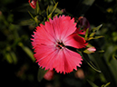 %_tempFileName07-20100111-0479%