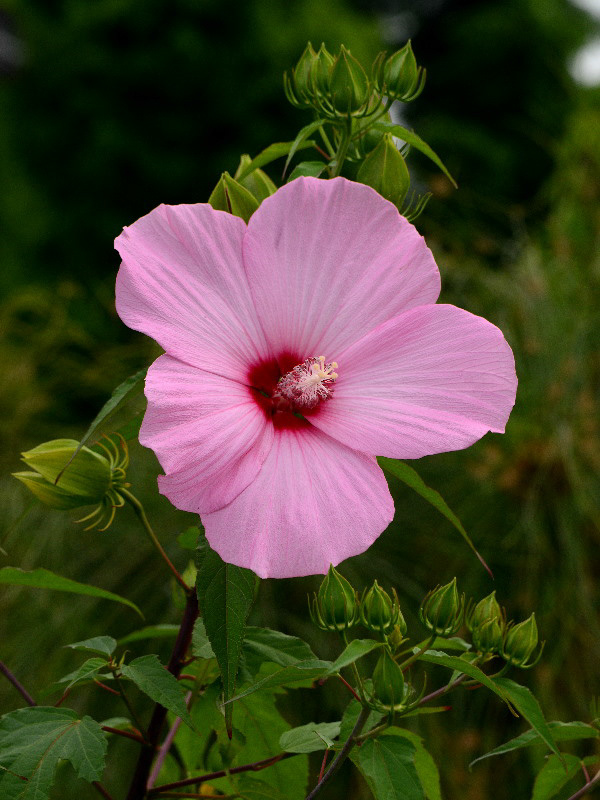 %_tempFileName01-20120721-0221%