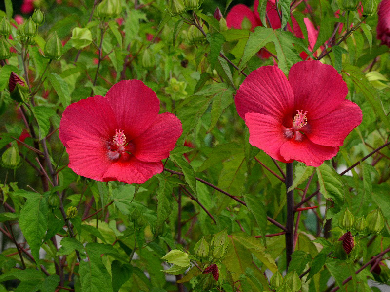 %_tempFileName06-20120729-0365%