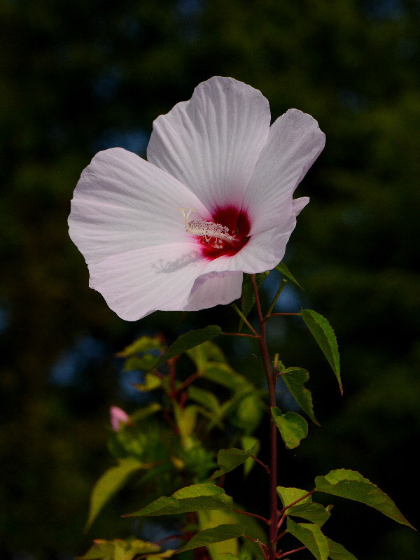 %_tempFileName09-20120902-0060%
