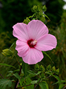 %_tempFileName01-20120721-0221%