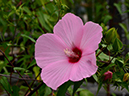 %_tempFileName02-20120721-0222%