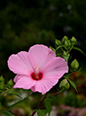 %_tempFileName03-20120721-0226%