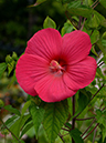 %_tempFileName04-20120721-0223%