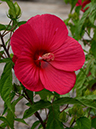 %_tempFileName05-20120721-0225%