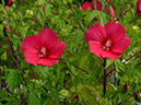 %_tempFileName06-20120729-0365%