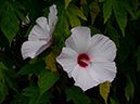 %_tempFileName08-20120729-0372%