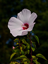 %_tempFileName09-20120902-0060%