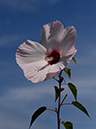 %_tempFileName10-20120909-0160%