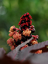 %_tempFileName01-20081124-0228%