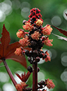 %_tempFileName02-20081124-0230%