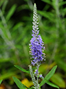 %_tempFileName01-20090802-0105%