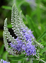 %_tempFileName02-20090802-0106%
