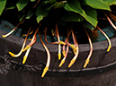 %_tempFileName02-20090506-0314%
