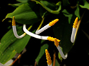 %_tempFileName03-20110505-0896%
