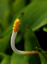 %_tempFileName04-20110505-0897%