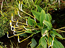 %_tempFileName05-20120331-0344%