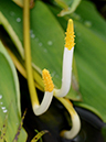 %_tempFileName06-20120331-0345%