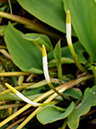%_tempFileName07-20120331-0346%