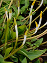 %_tempFileName09-20130323-0204%