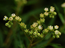 %_tempFileName01-20100928-0071%