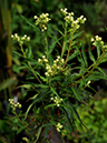 %_tempFileName03-20100928-0070%