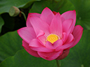 %_tempFileName96-20080710-0096%