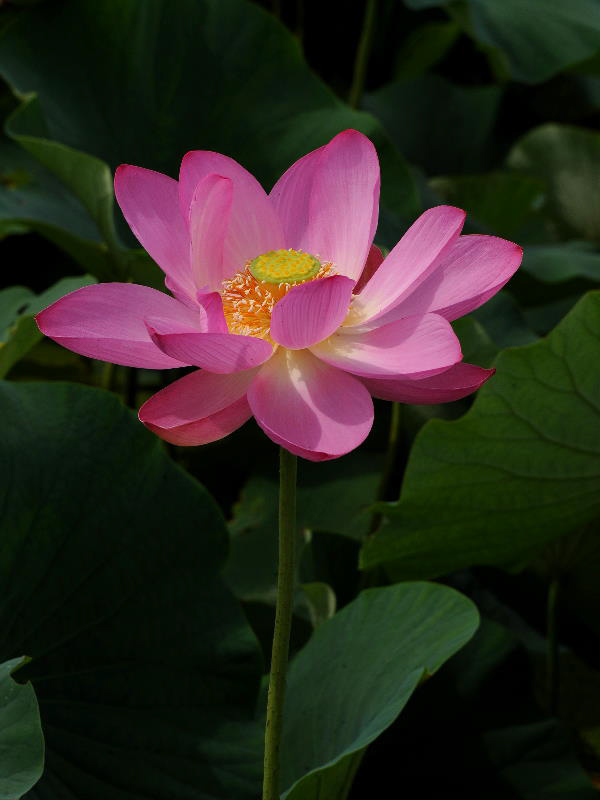%_tempFileName55-20090719-0304%