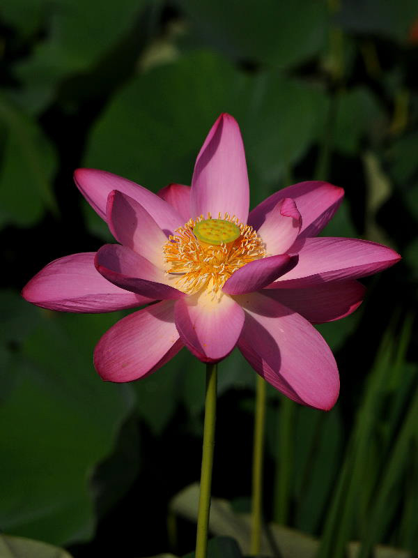 %_tempFileName61-20100719-0241%