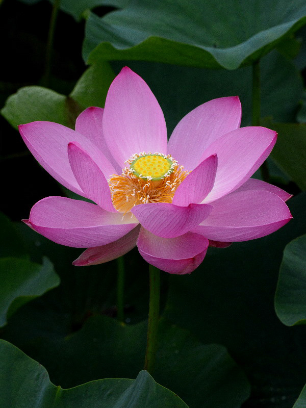 %_tempFileName78-20120707-0333%