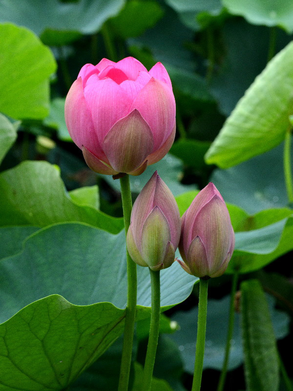 %_tempFileName80-20120707-0353%