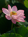 %_tempFileName34-20060804-0193%