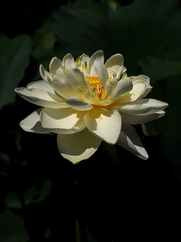 %_tempFileName46-20100717-0059%