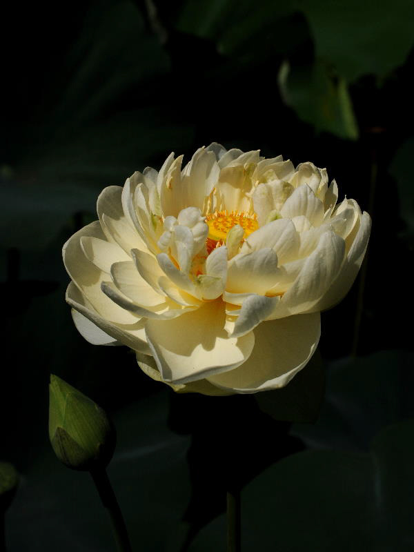 %_tempFileName47-20100717-0060%