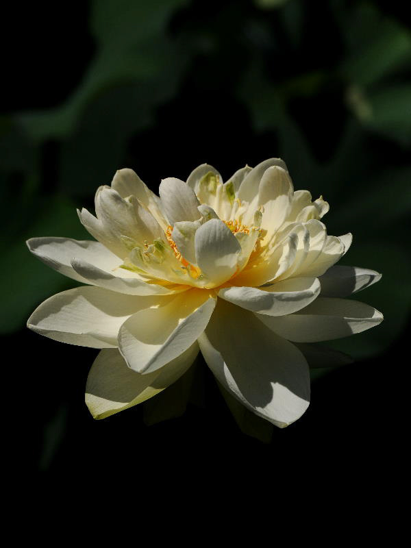 %_tempFileName48-20100717-0062%