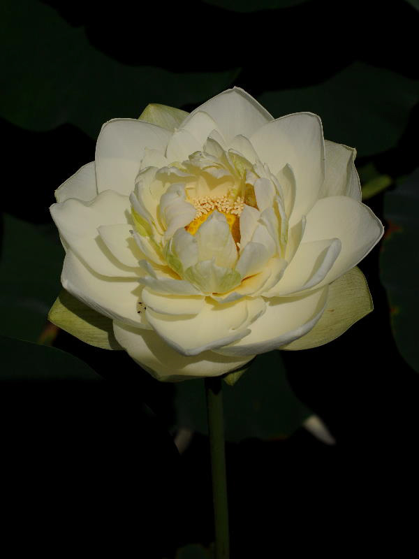%_tempFileName52-20110709-0025%