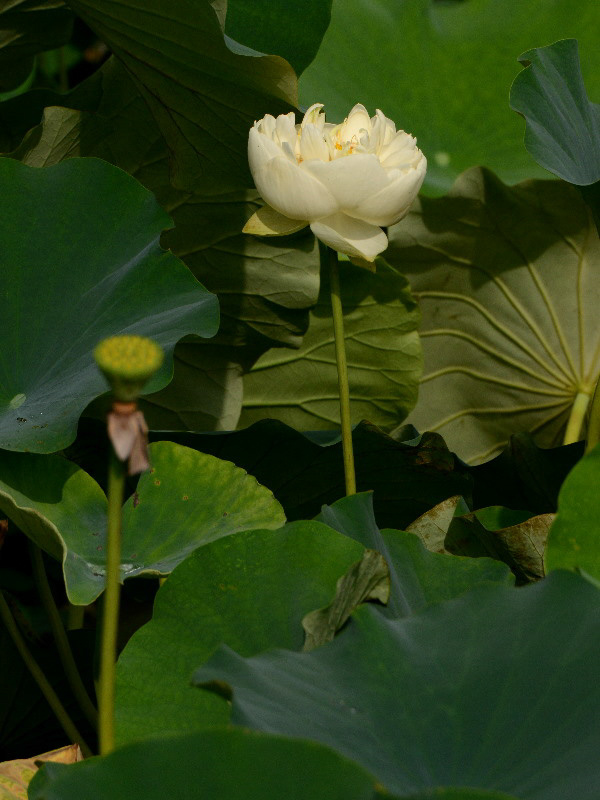 %_tempFileName59-20120722-0189%