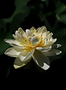 %_tempFileName48-20100717-0062%