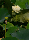 %_tempFileName59-20120722-0189%