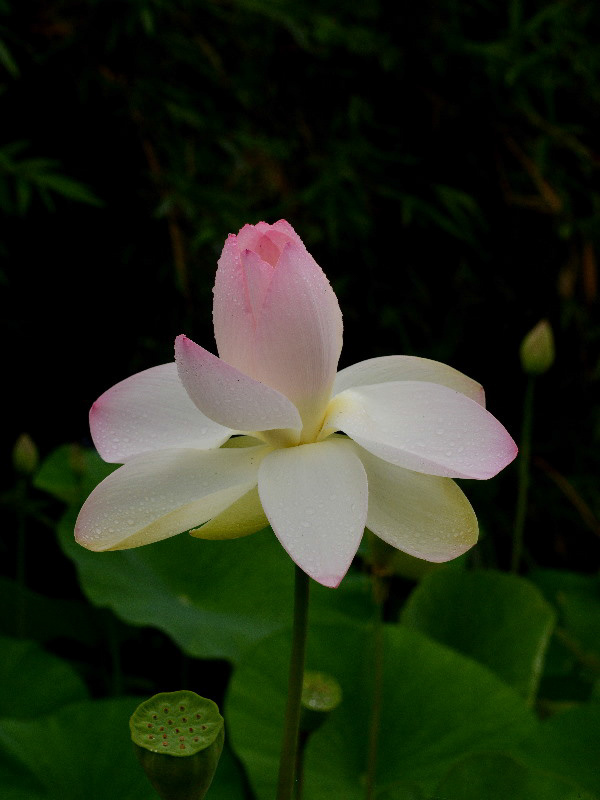 %_tempFileName28-20120630-0084%