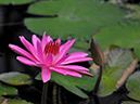 %_tempFileName20-20080127-0084%