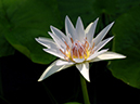 %_tempFileName11-20051030-0162%