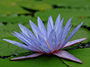 %_tempFileName10-20061029-0385%