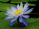 %_tempFileName05-20070701-0246%