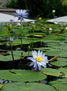 %_tempFileName12-20070715-0111%