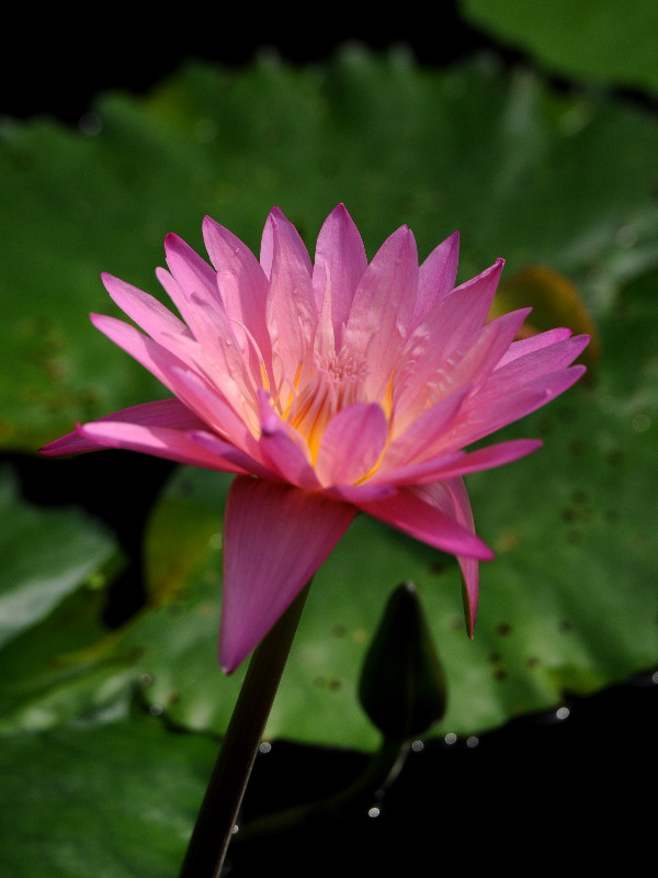 %_tempFileName20-20120325-0593%