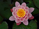 %_tempFileName03-20060528-0039%