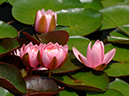 %_tempFileName04-20060618-0265%